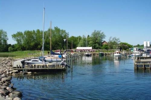 Pinsegudstjeneste på havnen